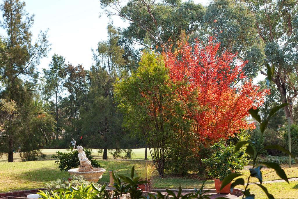 Plumes Boutique Bed & Breakfast Tamworth Værelse billede